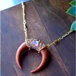 ISO Lili Claspe Raegen Horn necklace ***DO NOT BUY***